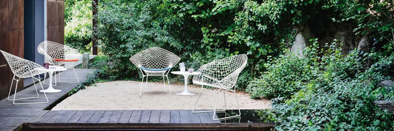 Knoll International